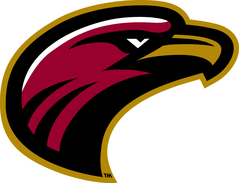 Louisiana-Monroe Warhawks 2006-Pres Alternate Logo t shirts iron on transfers v7